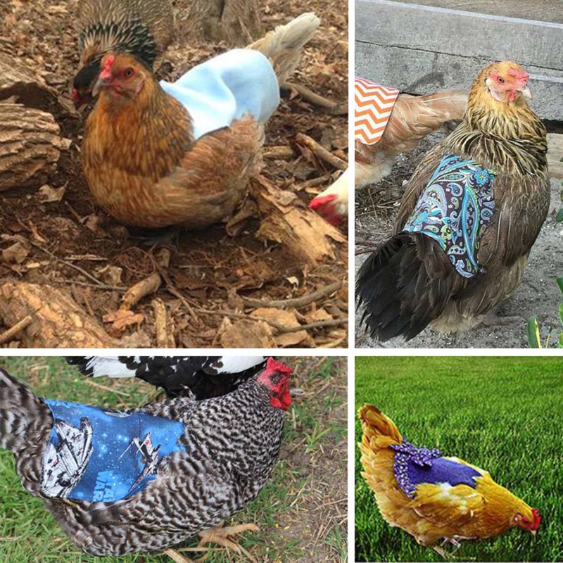 Tạp Dề Màu Trơn Bảo Vệ Chăm Sóc Gia Cầm