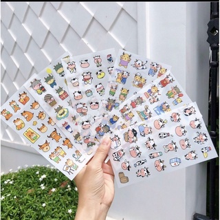 Giấy hình Dán Sticker dán