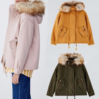 Parka ngắn