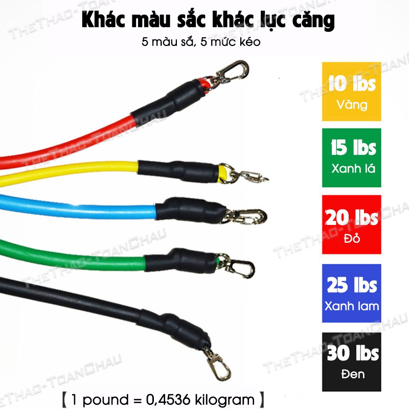 Bộ Dây Kháng Lực Ngũ Sắc [Nhập SHOPTC05 giảm 5%] 11 món - Shop Toàn Châu - Chất liệu cao su đàn hồi tốt