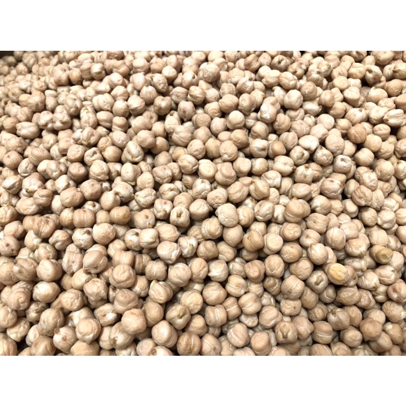 ĐẬU GÀ TRẮNG CANADA 9mm