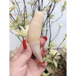 Nanh mỹ nghệ nhân tạo