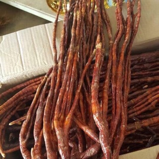 💥 1kg - nấm linh chi sừng huơu