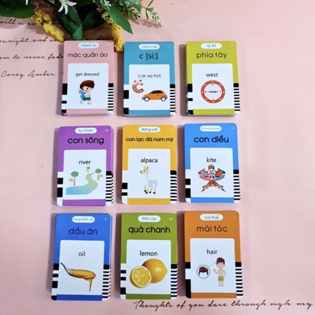 Máy đọc thẻ FlashCard cho bé học Tiếng Anh với 112 thẻ 224 chủ đề/ 255 thẻ 510 chủ đề - TiNa’s House
