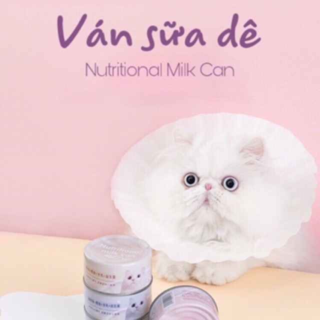 Ván sữa dê cao cấp cho mèo.