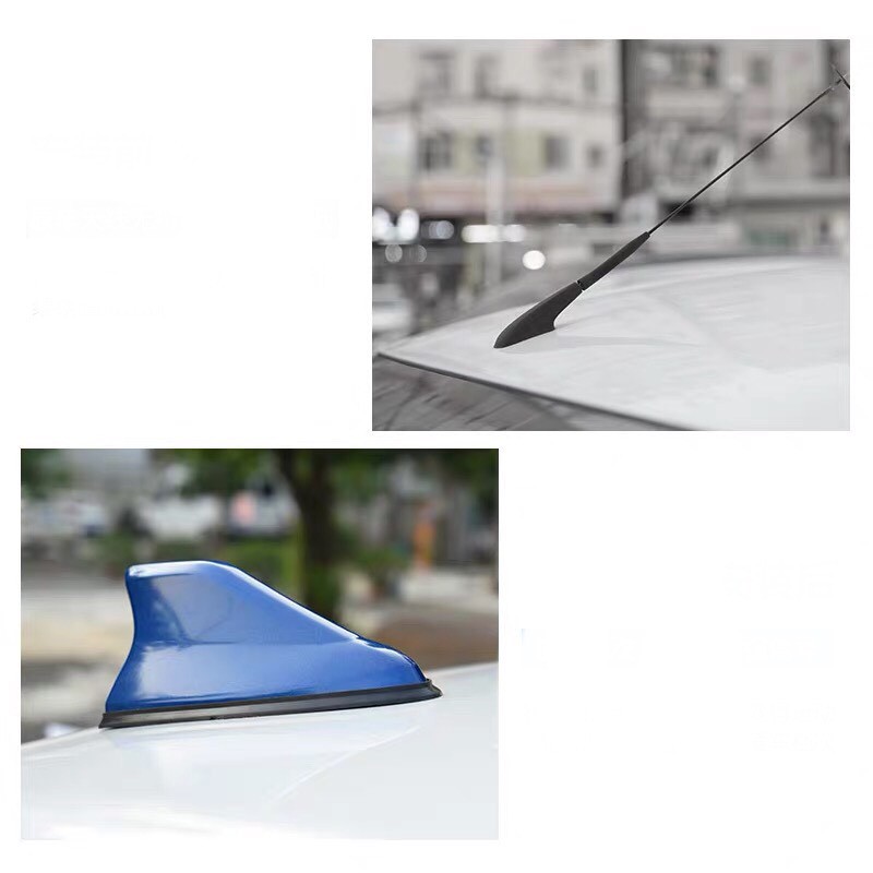 ĂnTen Vây Cá Mập Có Gioăng Trang Trí | BigBuy360 - bigbuy360.vn