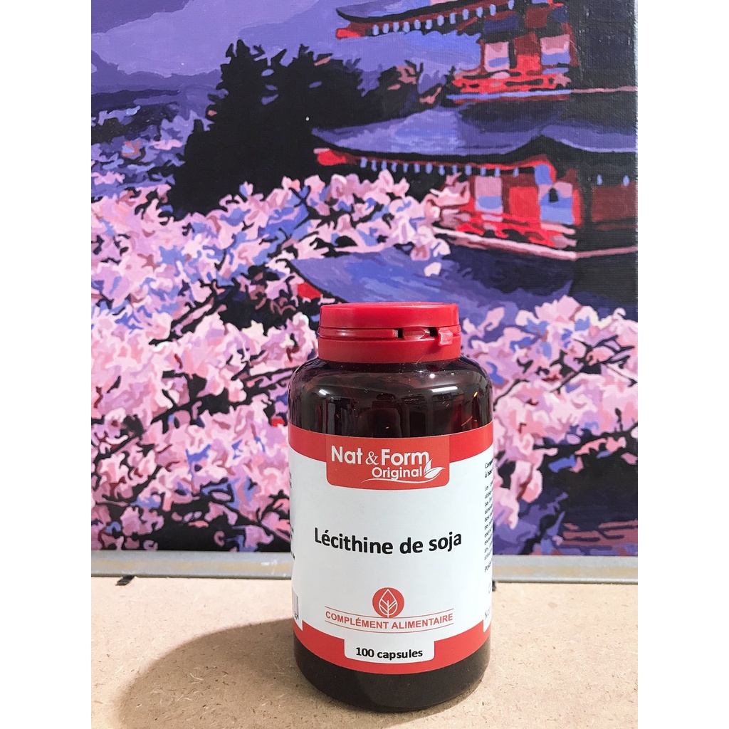 Mầm đậu nành Nat & Form Pháp 100v