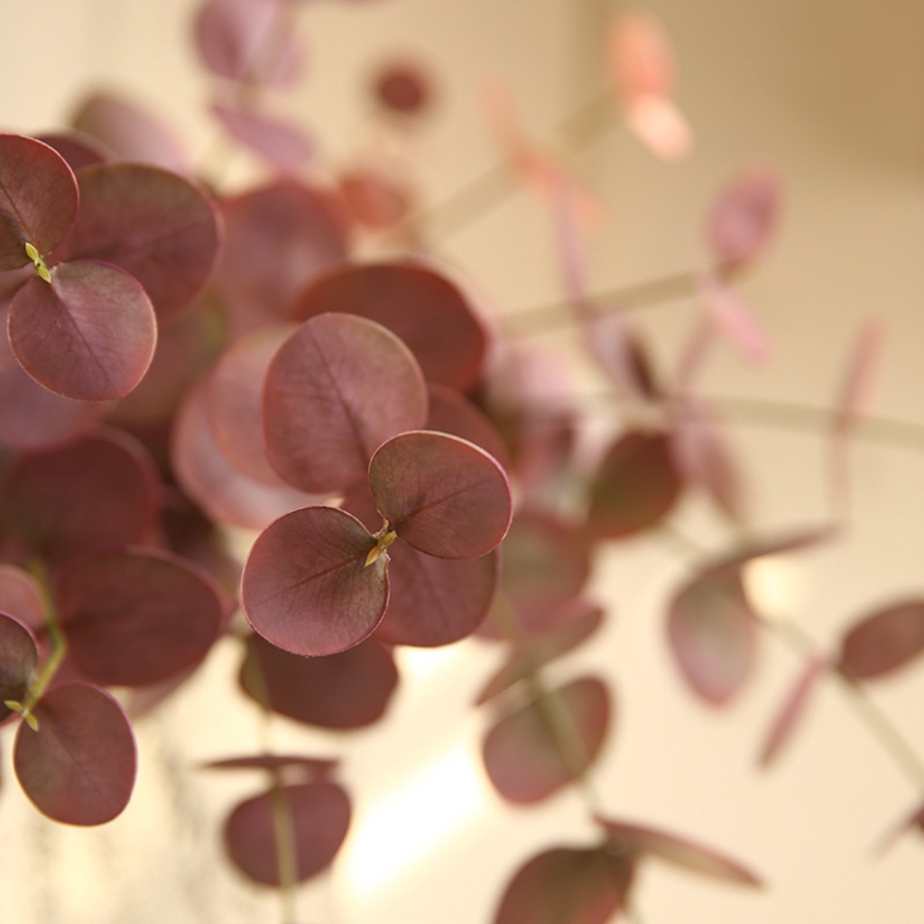 Cành khuynh diệp Eucalyptus giả trang trí decor
