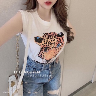 SET ÁO THUN CỌP + QUẦN JEAN