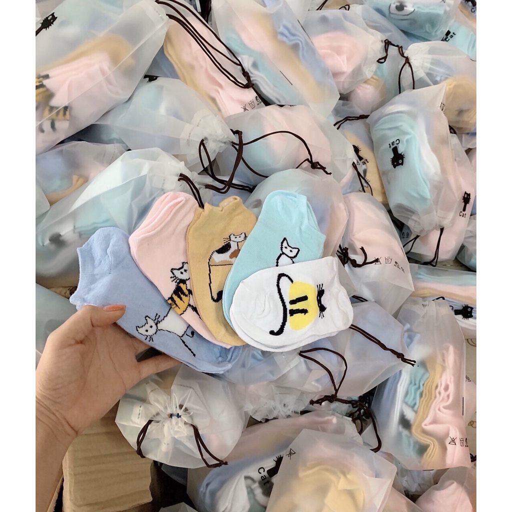 Set 10 đôi tất MÈO cartoon + túi cute
