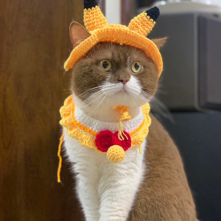 Mũ len cho chó mèo cosplay pikachu vàng dễ thương