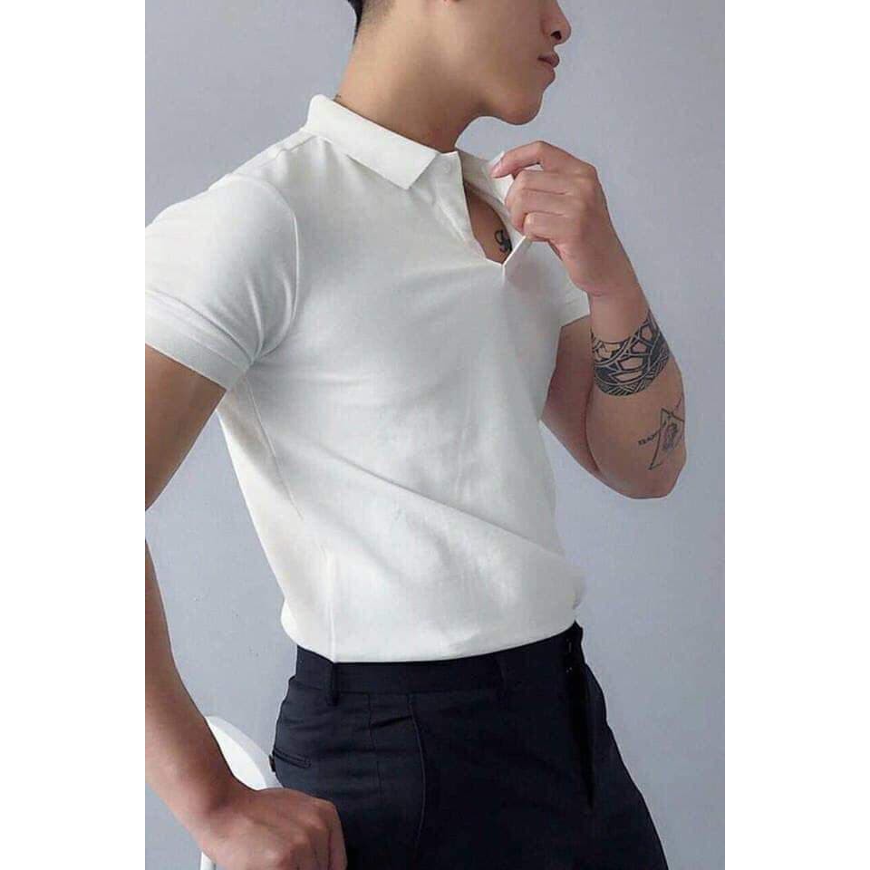 Áo phông cổ bẻ dệt cá sấu chất thun cottong mát | BigBuy360 - bigbuy360.vn