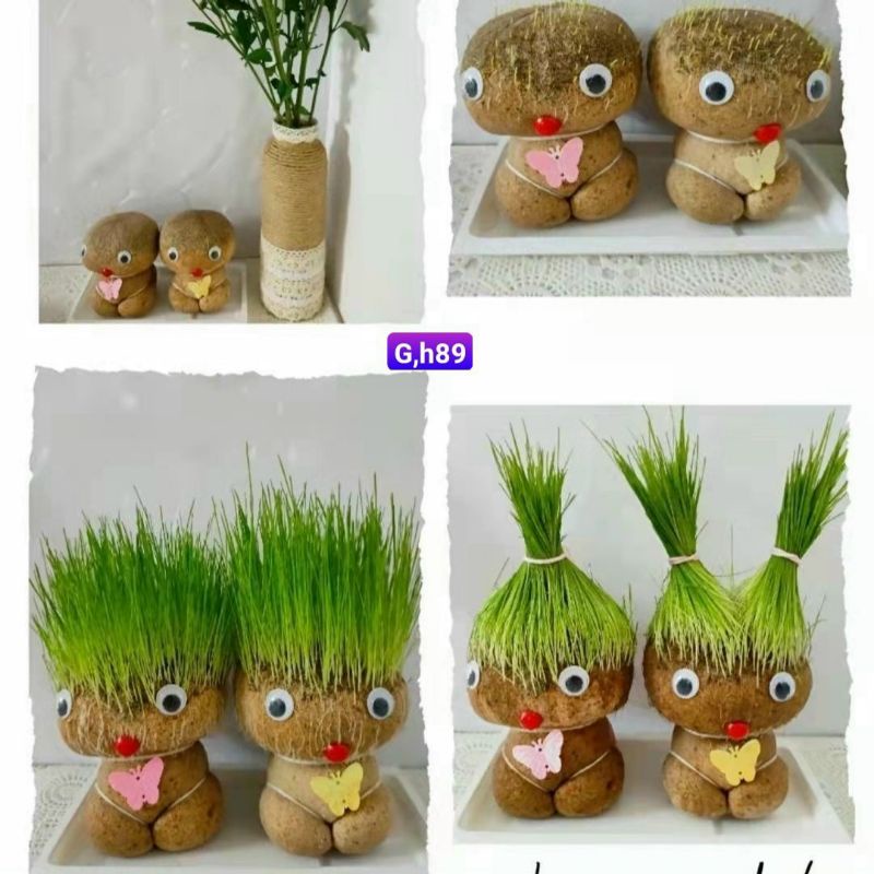 BÚP BÊ ĐẦU CỎ  , Ngộ nghĩnh lắm nha .  GIÚP GIẢM STRESS HIỆU QUẢ