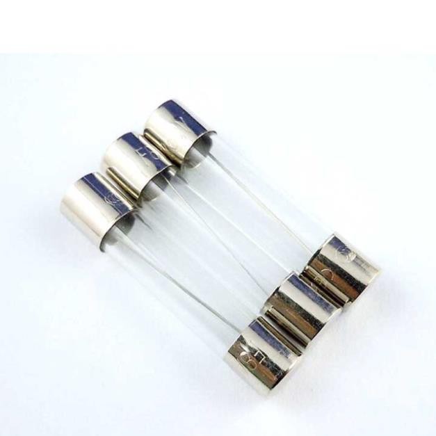 Cầu chì ống 20A 250V 20x5mm 30x6mm lắp cho ô tô xe máy thiết bị điện trong tẩu và điện dân dụng vi sóng