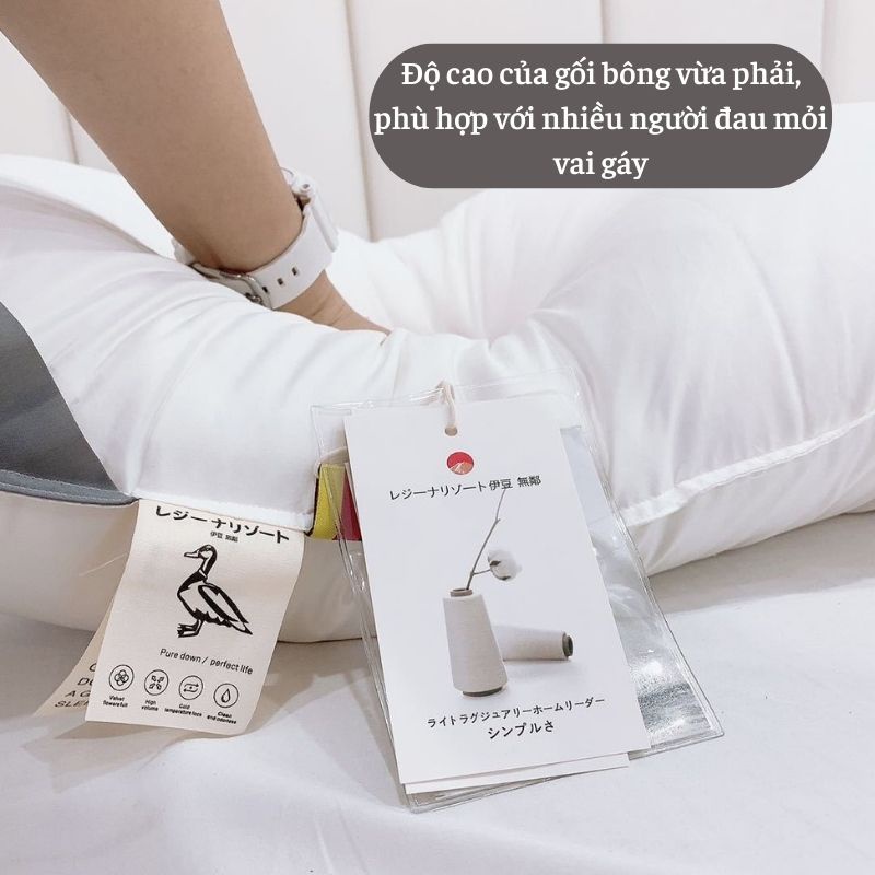 Ruột gối bông lông vũ Nhật Bản kháng khuẩn không mùi kích thước 50x70 cm siêu thoải mái êm ái MIIBOOSHI D1.110