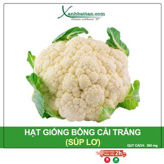 Hạt Giống Cải Bông Trắng Phú Nông Gói 300 mg