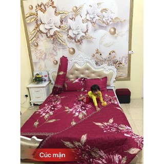 Set 5 món Vỏ Chăn Ga Gối Poly Cotton (Được chọn mẫu)