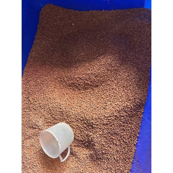 GỐM Ceramic trải nền bể