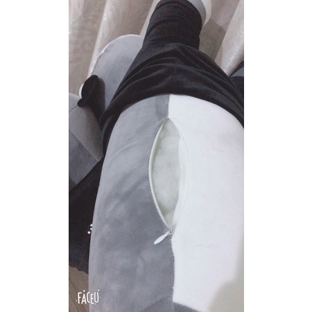 Gấu Bông Chó Husky, Mèo Husky Siêu Yêu