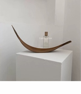 Lá cây khô tự nhiên trang trí decor