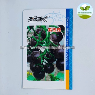 Hạt giống cà chua bi tím . 2 gr/gói