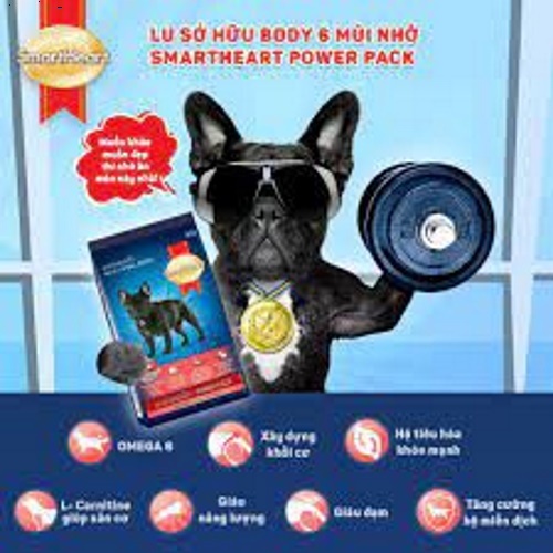 Thức ăn hạt cho Chó giống nhỏ Smartheart Power Pack Adult Small Breed Gói 3kg Bổ sung dinh dưỡng hoàn chỉnh Tiêu hóa tốt