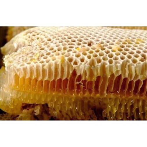 [Mã GROSALE giảm 10% đơn 150K] mật ong nhãn hưng yên 1,4kg dung tích 750mml mật ong nguyên chất đặc sản hưng yên