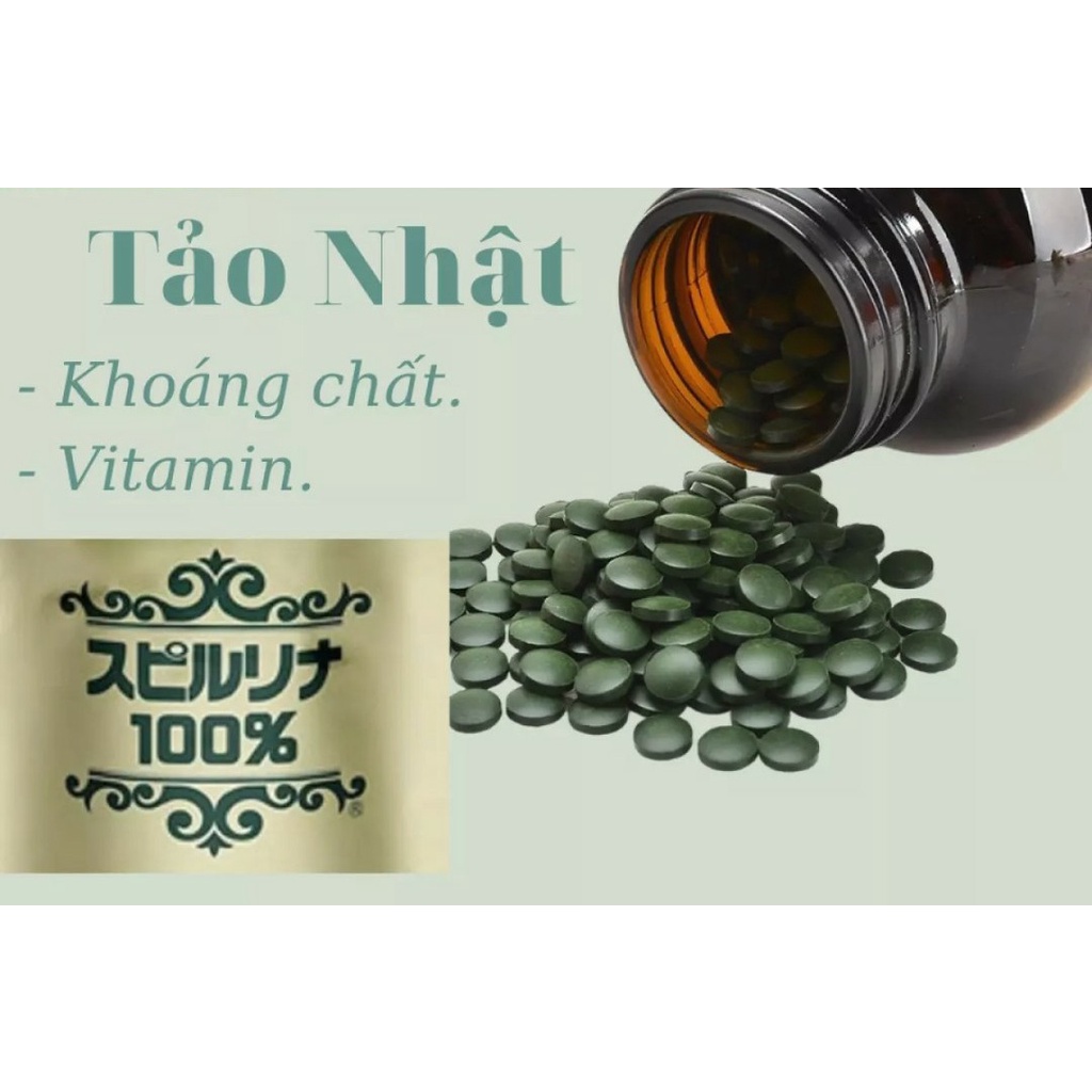 Tảo viên ( 50 viên ) - thức ăn artemia Cá Tép - Giao Hàng Hoả Tốc TPHCM