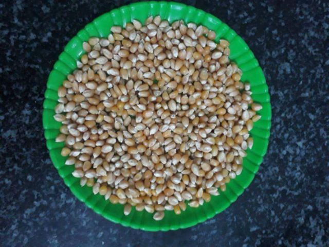 1kg Bắp khô làm bắp rang bơ | BigBuy360 - bigbuy360.vn