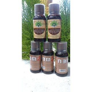 Phân bón kích thích ra rễ N3M loại Pro 100ml Dạng nước