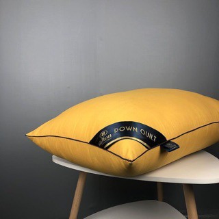 Ruột Gối Đầu Cao Cấp Pillow Nhiều Màu Tiêu Chuẩn 5* Kích Thước 45x65cm