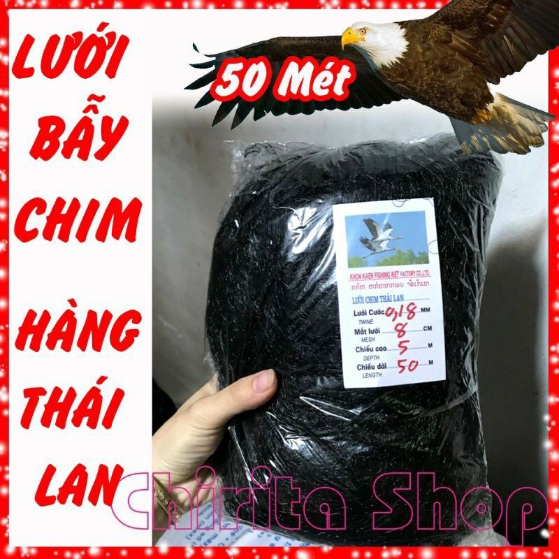 Lưới bẫy chim tàng hình Thái Lan cao 6m đủ size đủ loại 50m từ chào mào, sẻ, cu gáy, cò, cuốc, gà rừng...