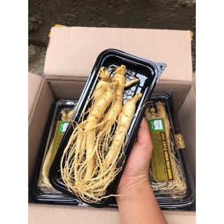 Sâm núi tươi hàn quốc