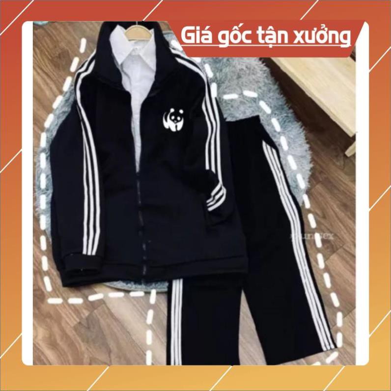 Bộ nữ áo khoác logo gấu + quần 3 sọc ống rộng form thụng unisex nam nữ