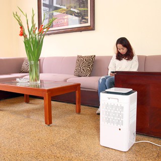 Máy hút ẩm Fujie HM-912EC