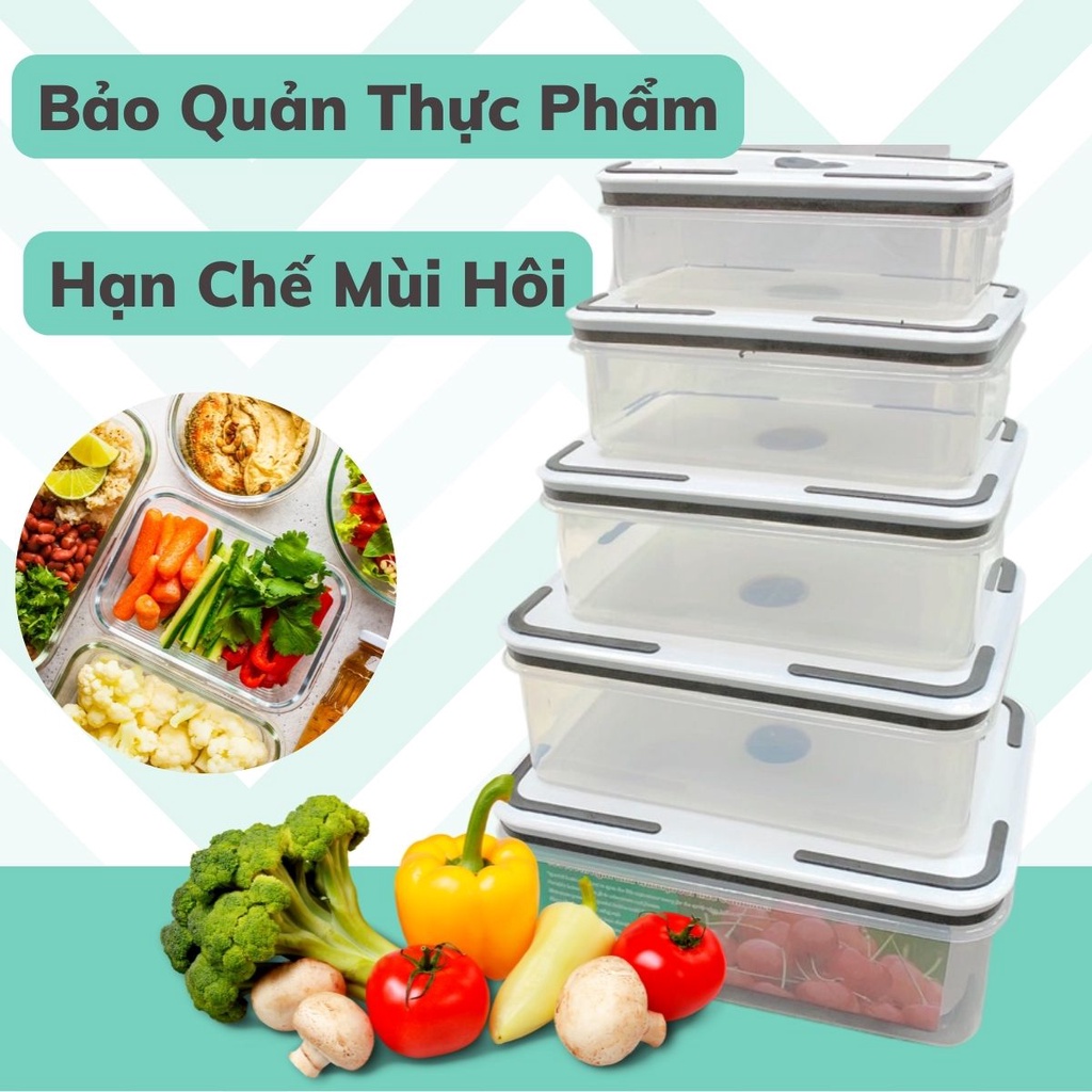 Bộ 5 Hộp Nhựa Đựng Thực Phẩm Để Tủ Lạnh, Bảo Quản Hạn Chế Mùi Hôi - Gọn Nhẹ Thích Hợp Mang Đi Dã Ngoại