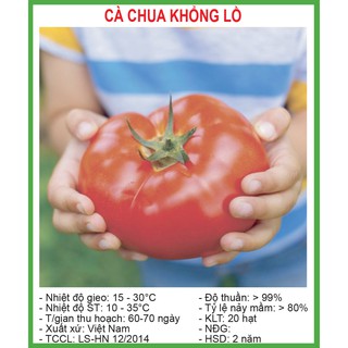 Hạt Giống Cà Chua Khổng Lồ 20 Hạt/ Gói