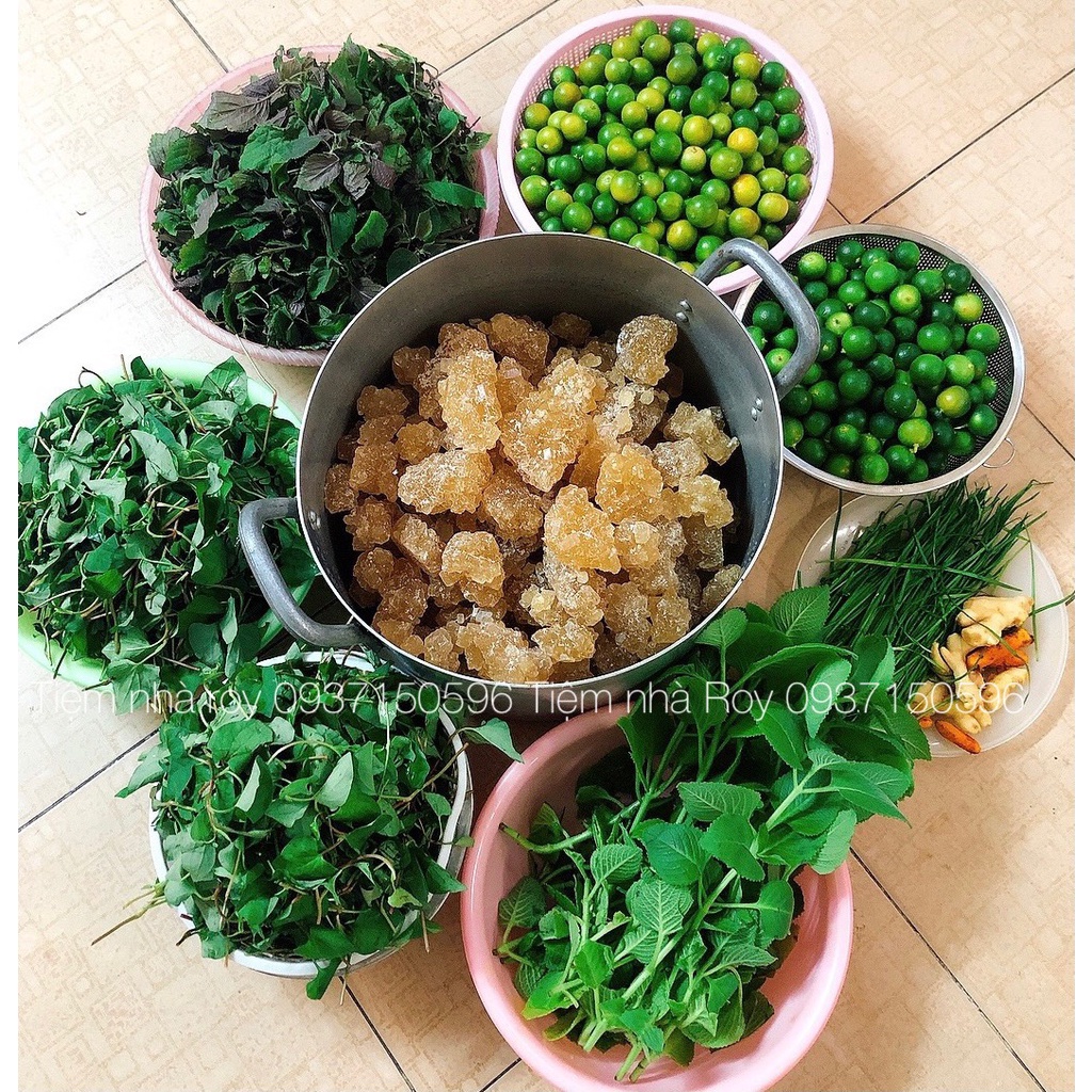 [NGUYÊN CHẤT] Tinh Dầu Húng chanh Nguyên chất 100% nhà làm, an toàn cho bé