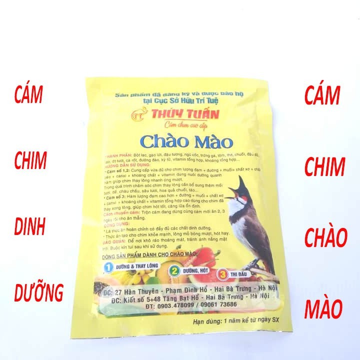 CÁM CHIM CHÀO MÀO _ CÁM DINH DƯỠNG