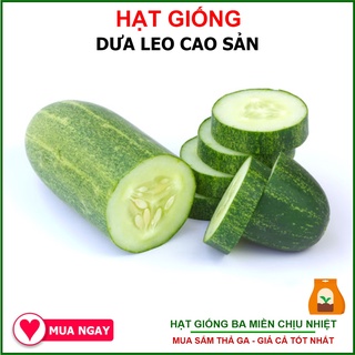 Hạt giống Dưa Leo TRANG NÔNG Cao Sản Hàng Mới Nhập