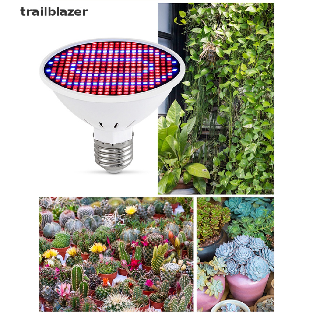 Đèn Led Kích Thích Tăng Trưởng 300LED MR16 220V UV UIO