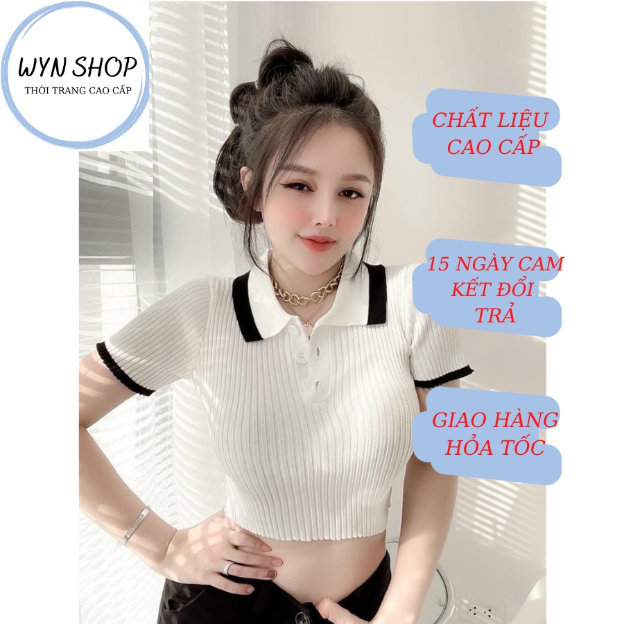 [ CÓ VIDEO + ẢNH THẬT ] Áo Croptop Len, Croptop Motoghi Cổ Bẻ cộc Tay Co Dãn Đàn Hồi Tốt - WYN SHOP 