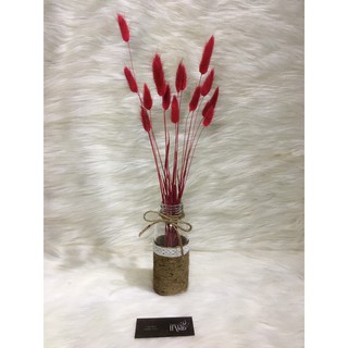 Trang trí ❤️Hoa Khô đuôi thỏ❤️ trang trí tiệc cưới vintage, Quà tặng