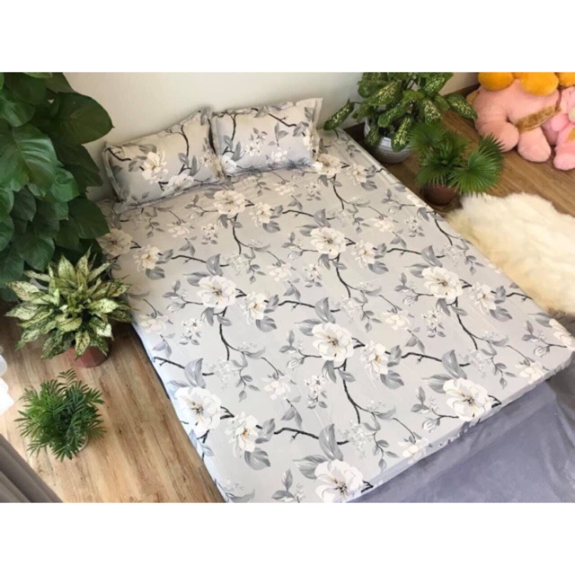 Set Hoa Bạc