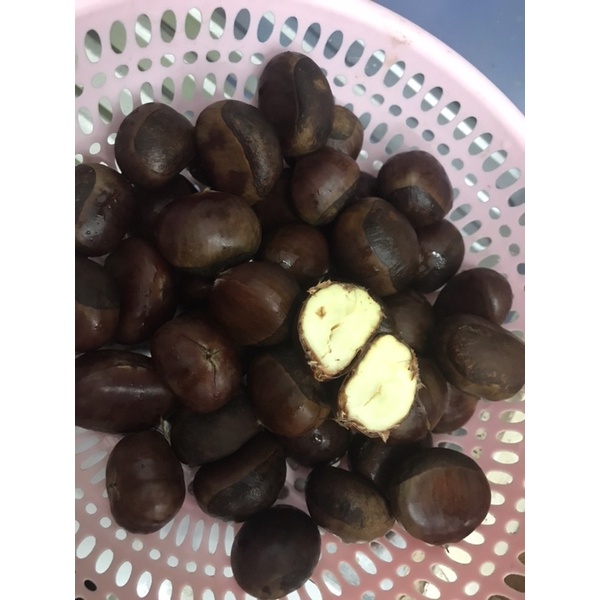 Ship hỏa tốc -HÀ Nội - 1kg Hạt dẻ tươi