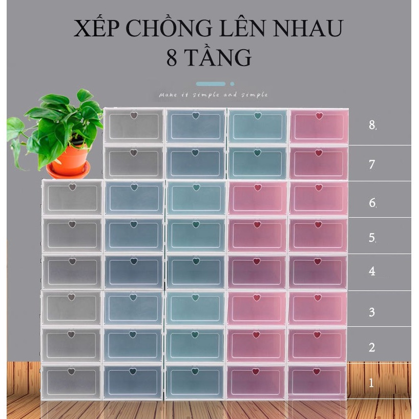 Hộp Đựng Giày Nắp Nhựa Dẻo Lắp Ráp Xếp Gọn Tiện Ích Giúp Nhà Cửa Ngăn Nắp