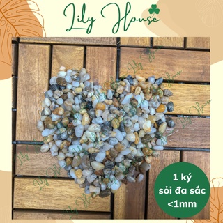 1 ký sỏi trang trí bể cá, đá trang trí chậu cây, hồ thủy sinh – Sỏi đa sắc – Size <1mm - Lily House