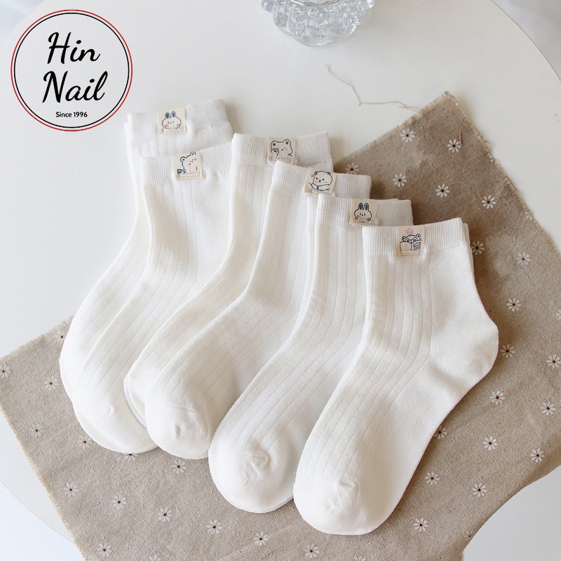 Set 5 đôi tất nữ hàn quốc vớ nữ cổ ngắn cổ dài chất liệu cotton