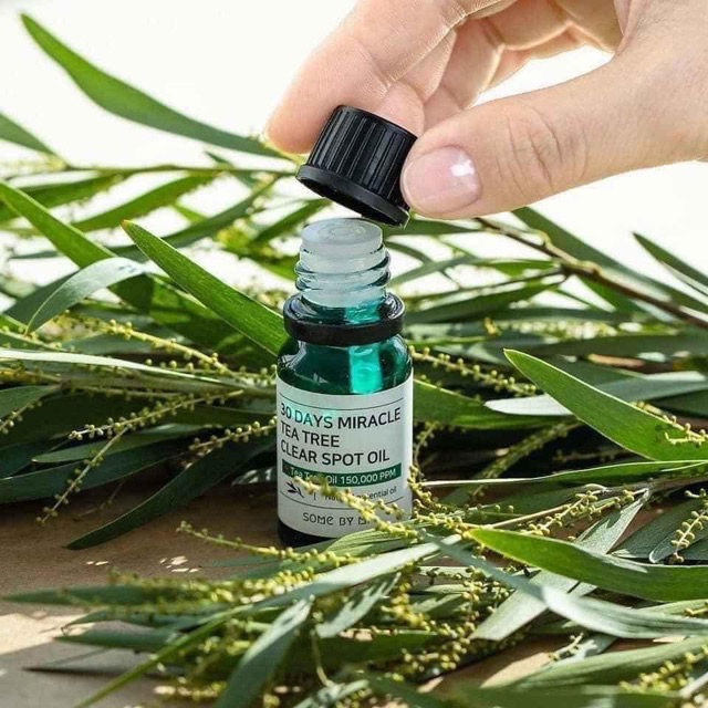 TINH DẦU CHẤM MỤN SOMEBYMI TEA TREE CLEAR SPOT OIL