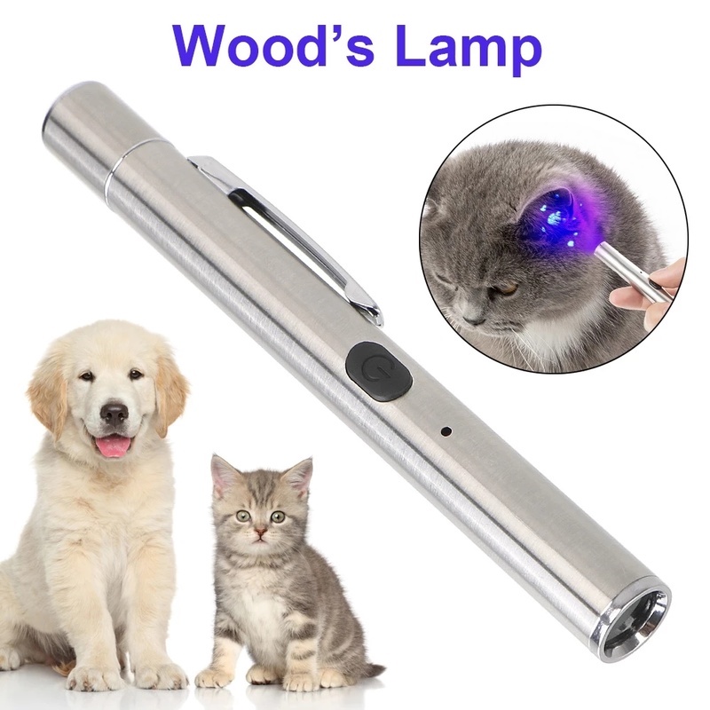 Đèn Led UV USB Phát Hiện Nấm Chuyên Nghiệp Cho Chó Mèo / Chó Mèo Nhanh Chóng Và Sạc Trực Tiếp